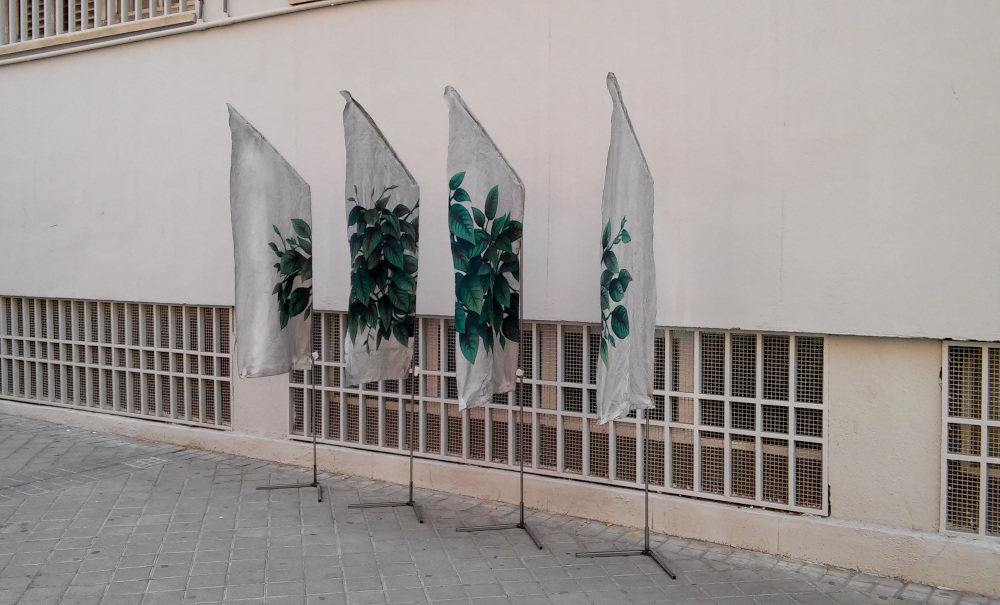 las plantas no mueren en el espacio